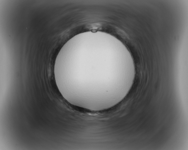 X0000083571442200703091627