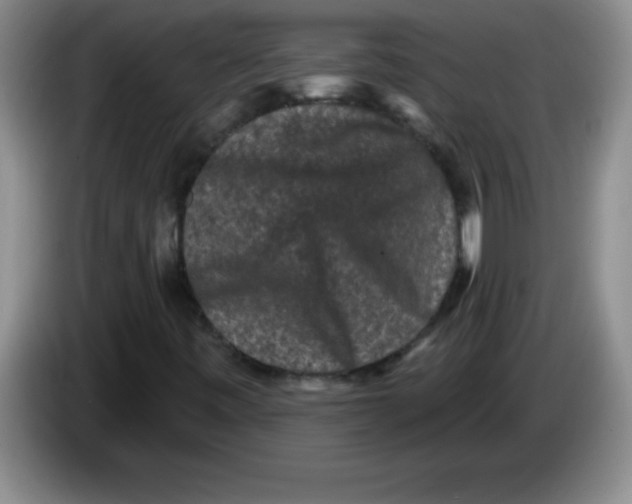 X0000083571443200703091627