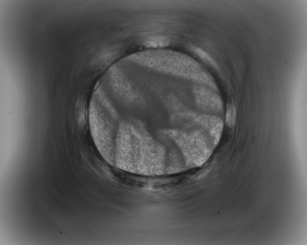X0000083571444200703091627