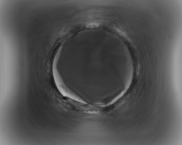 X0000083571445200703091627