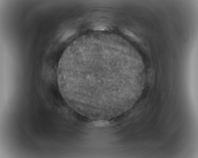 X0000083571446200703091627