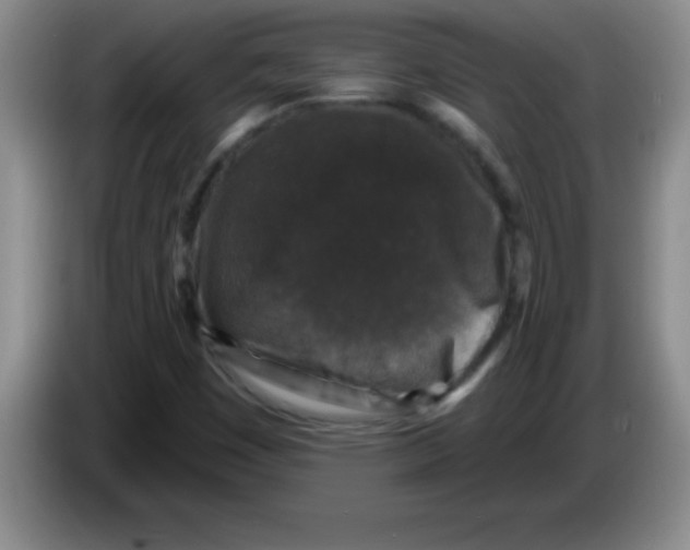 X0000083571449200703091627
