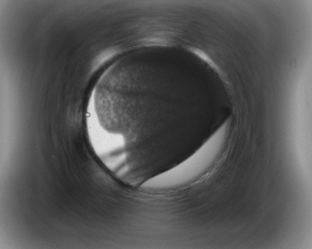 X0000083571450200703091627