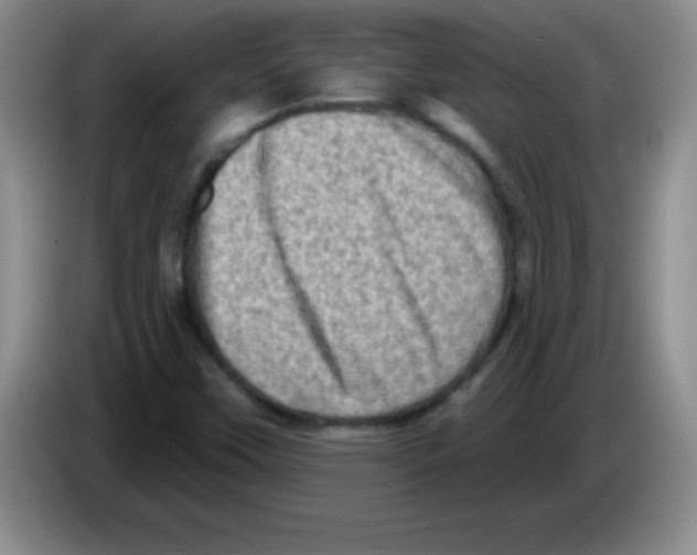 X0000083571451200703091627