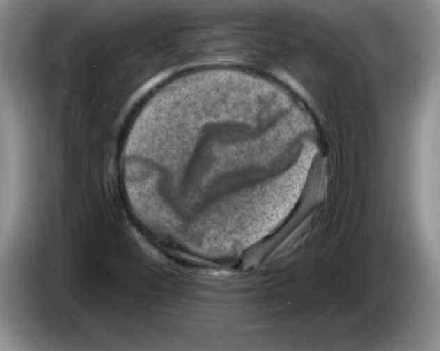 X0000083571452200703091627