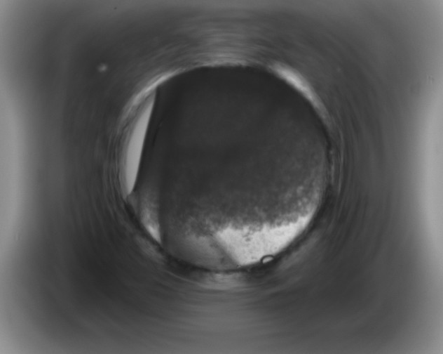 X0000083571453200703091627