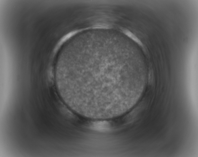 X0000083571454200703091627