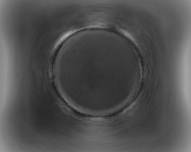 X0000083571455200703091627