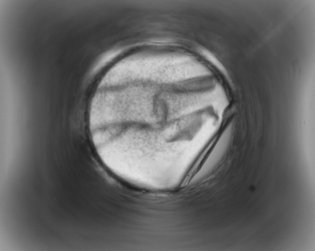 X0000083571456200703091627