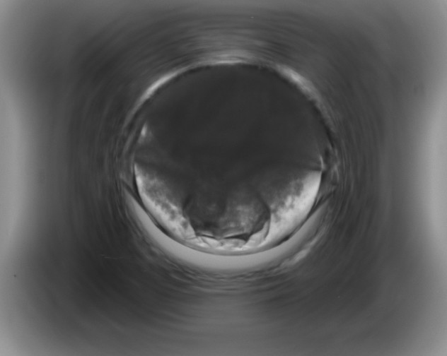 X0000083571457200703091627