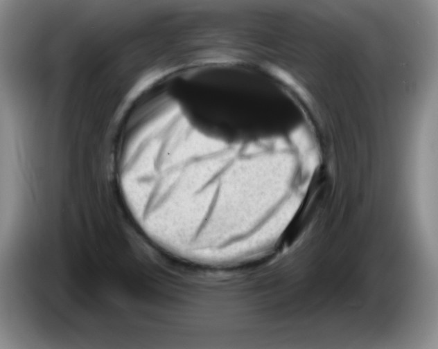 X0000083571459200703091627