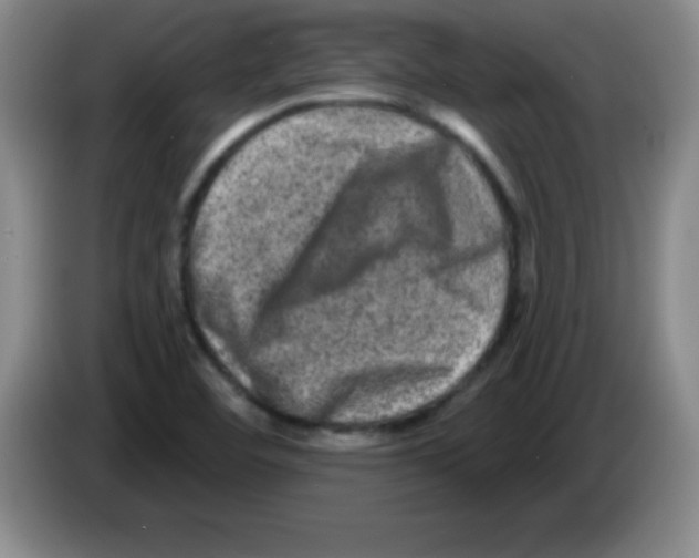 X0000083571460200703091627