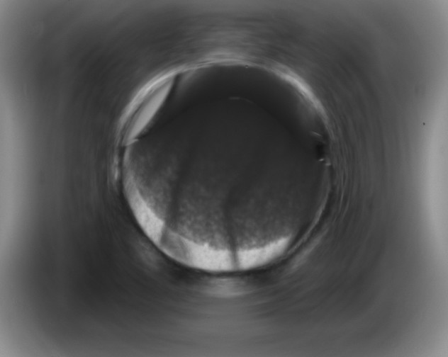 X0000083571461200703091627