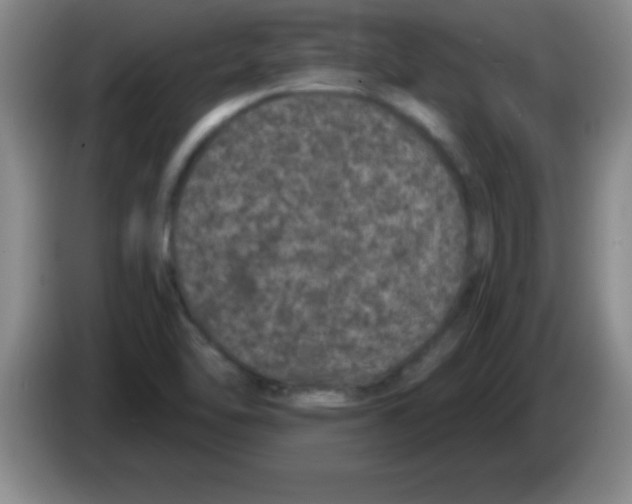 X0000083571462200703091627