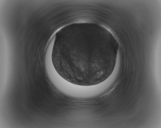 X0000083571465200703091627