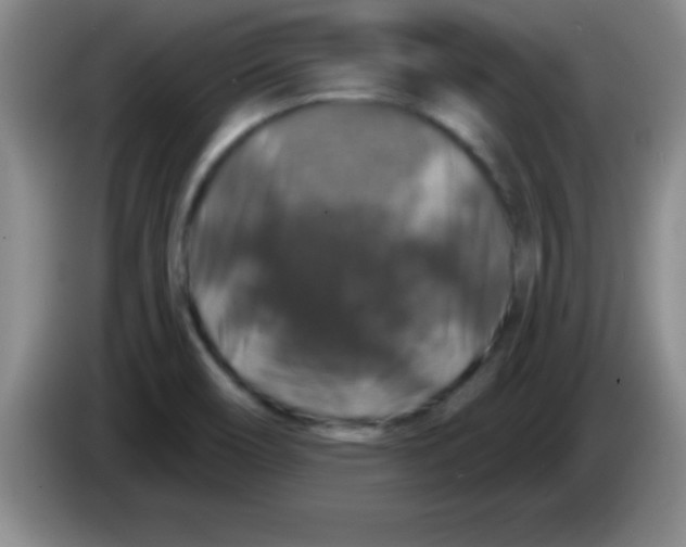 X0000083571466200703091627