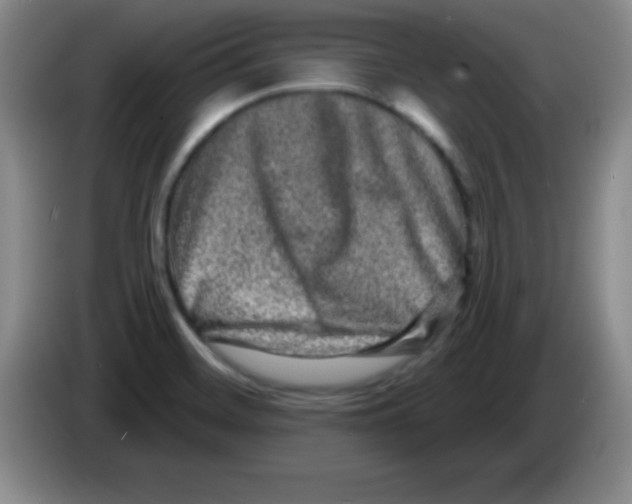 X0000083571468200703091627