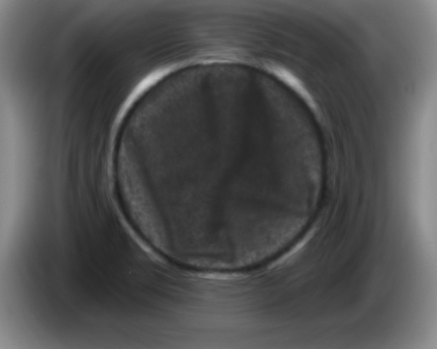 X0000083571469200703091627