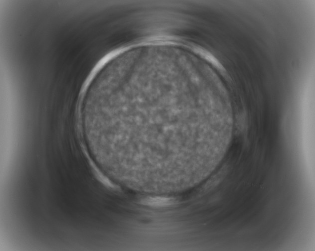 X0000083571470200703091627