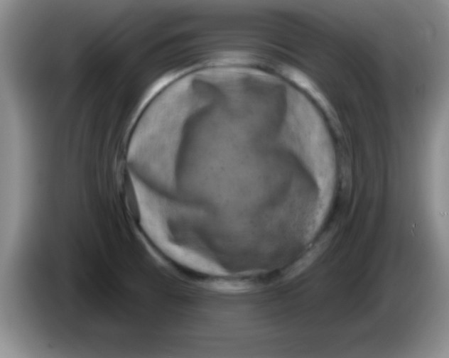 X0000083571473200703091627