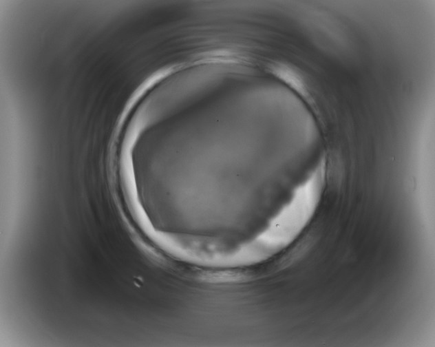 X0000083571474200703091627