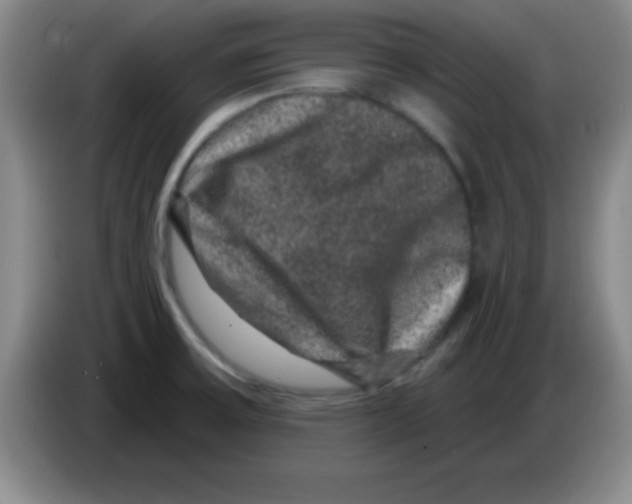 X0000083571475200703091627