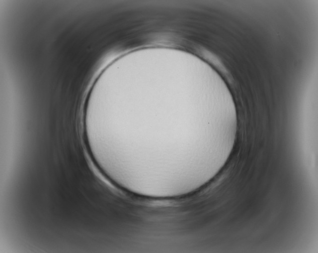 X0000083571479200703091627