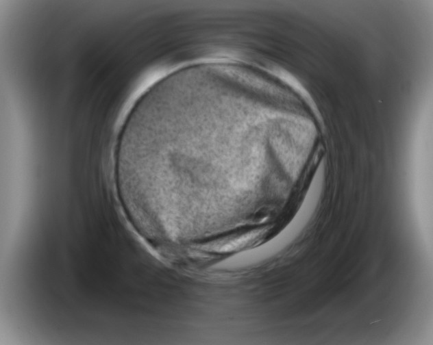 X0000083571480200703091627