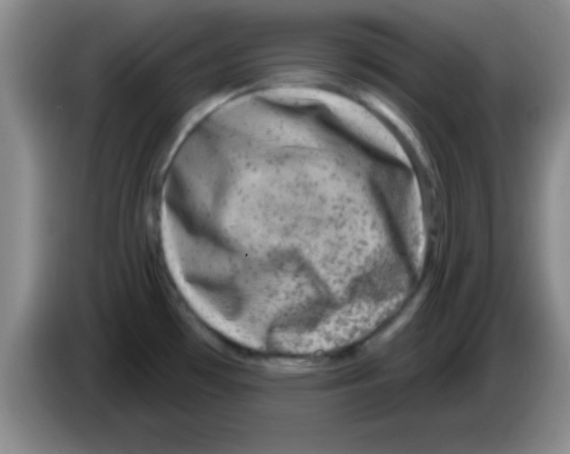 X0000083571481200703091627