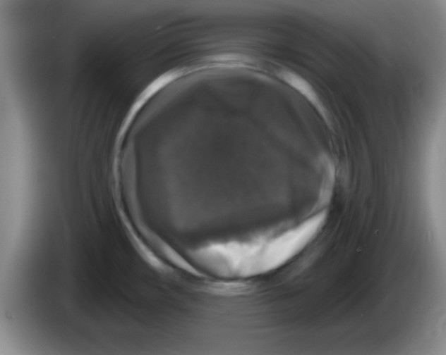X0000083571482200703091627