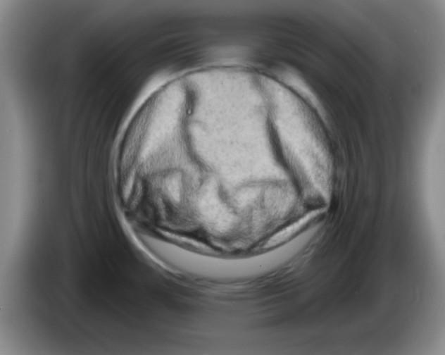 X0000083571483200703091627