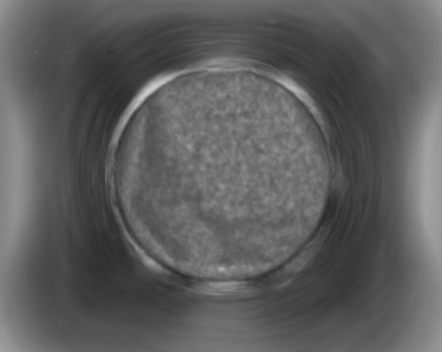X0000083571486200703091627