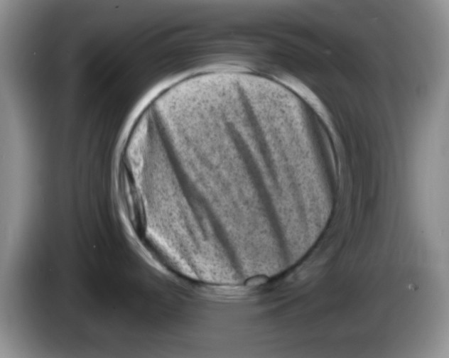 X0000083571488200703091627