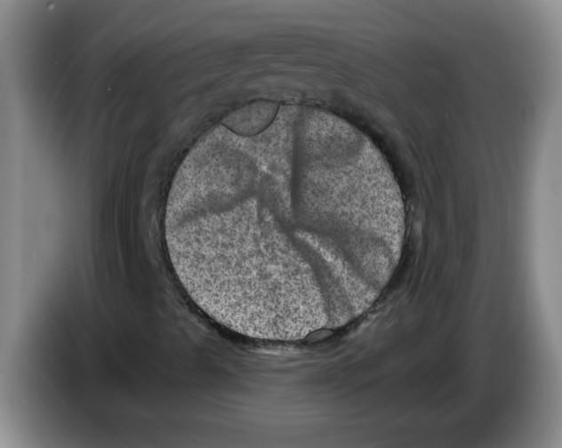 X0000083571489200703091626