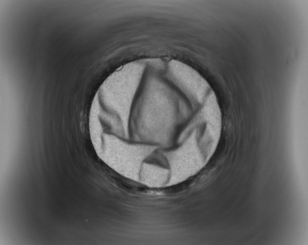 X0000083571490200703091626