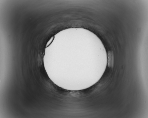 X0000083571491200703091626