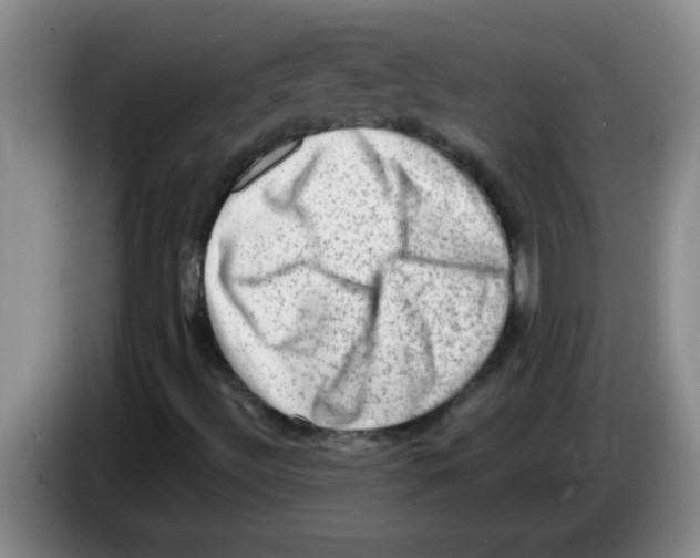 X0000083571492200703091626