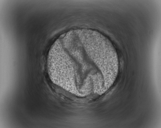 X0000083571494200703091626