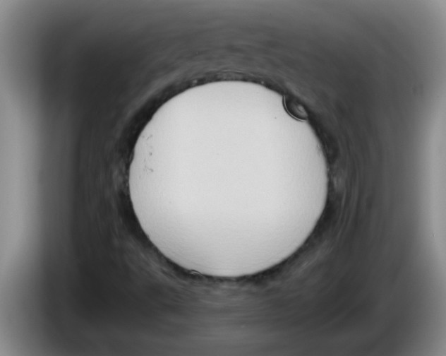 X0000083571495200703091626