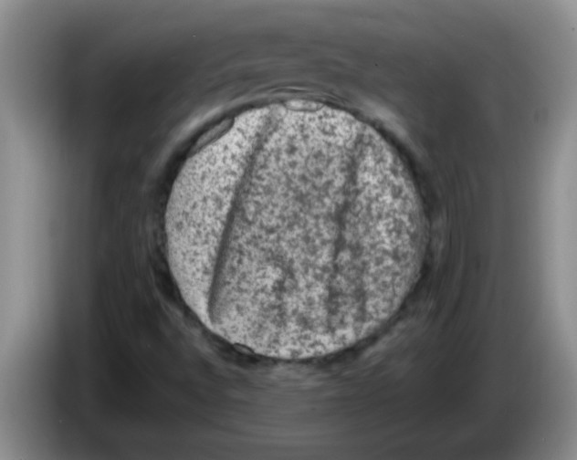 X0000083571496200703091626