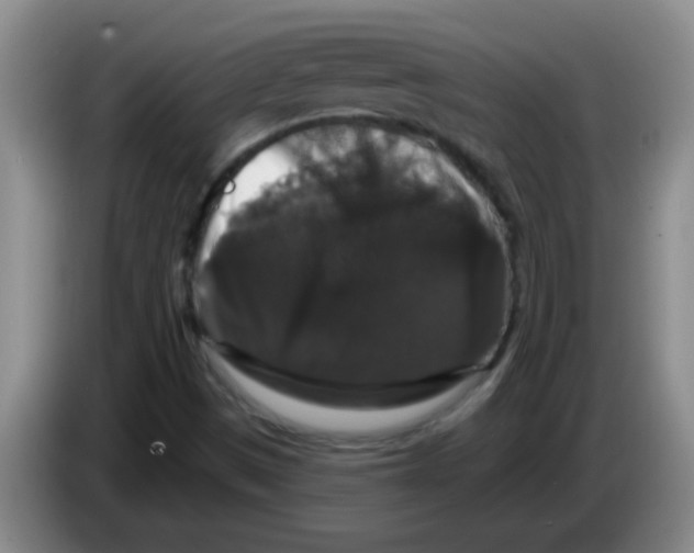 X0000083571497200703091626