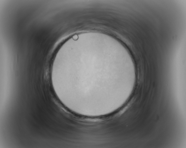 X0000083571498200703091626