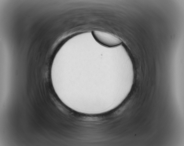 X0000083571499200703091626