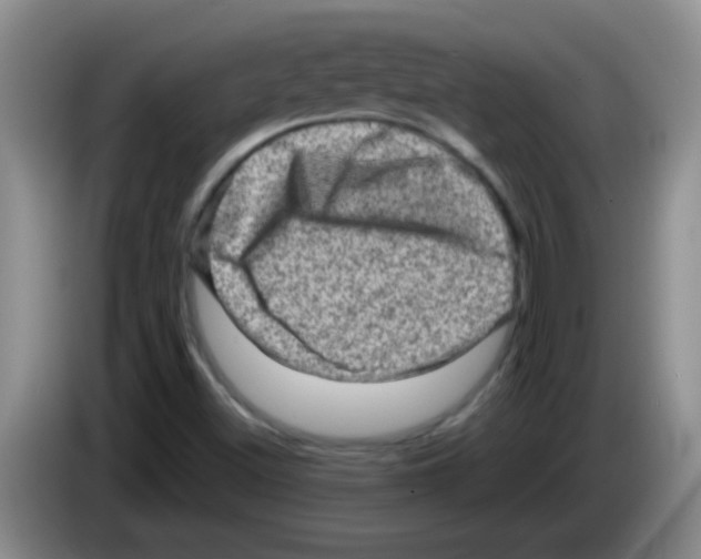 X0000083571500200703091626