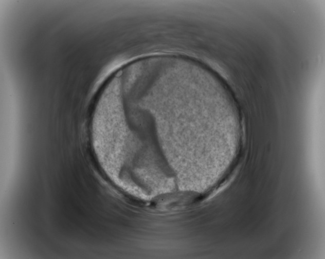 X0000083571501200703091626