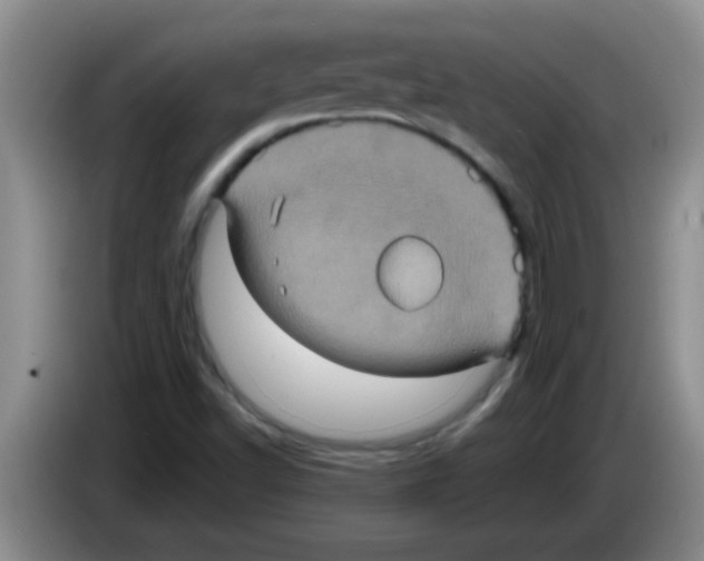 X0000083571502200703091626