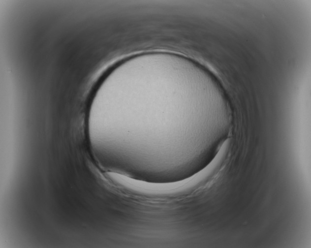 X0000083571503200703091626