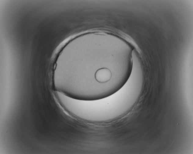 X0000083571504200703091626