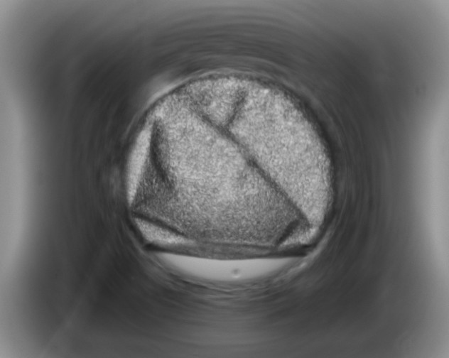 X0000083571505200703091626