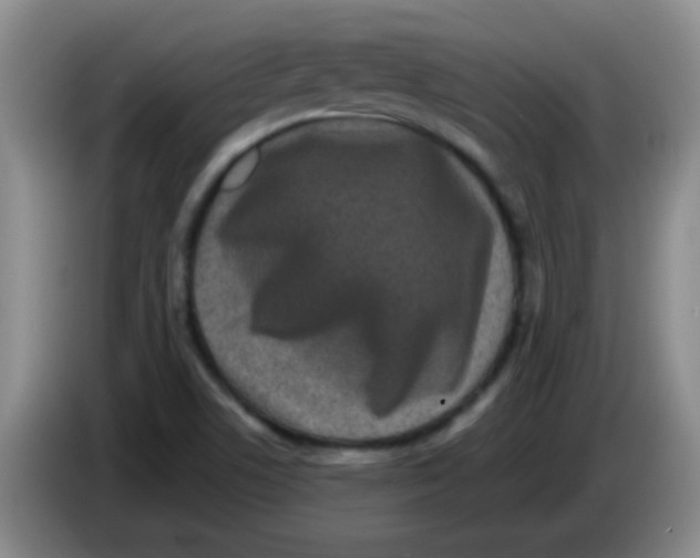 X0000083571506200703091626